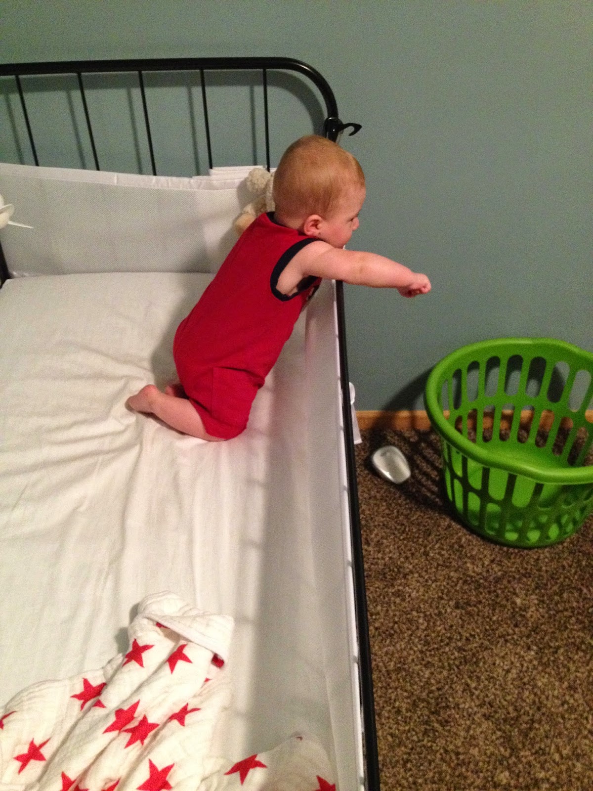Why I'm switching my 10 month old into a toddler bed. Seschloneger