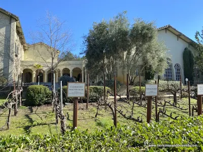 demonstration vineyard at Chateau St. Jean Vineyards and Winery in Kenwood, California