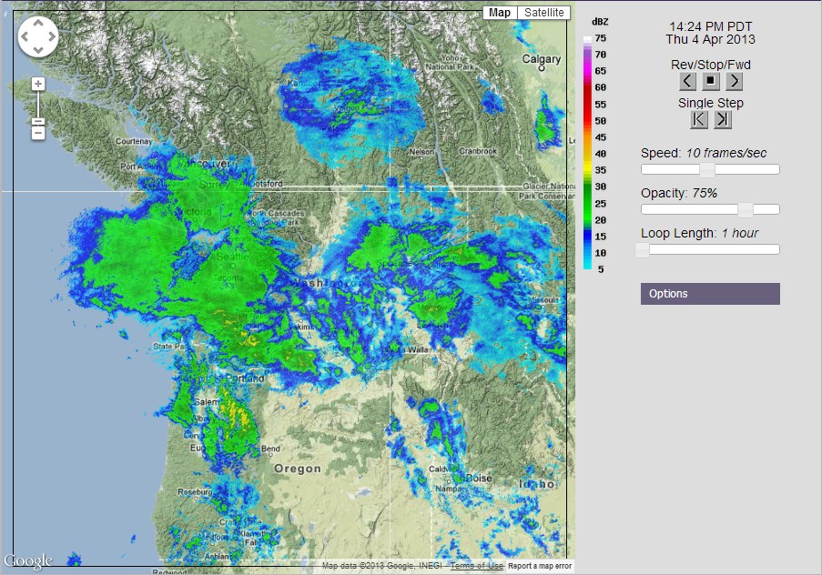 Charlie's Weather Forecasts Rain