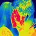 Study Shows That Women Can Retain And Carry DNA From Every Man They Have Sexual Intercourse With