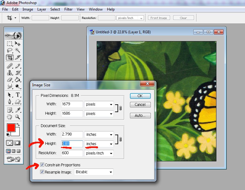Manatee's Toy Box The Missing Puzzle Piece How to Make a Replacement