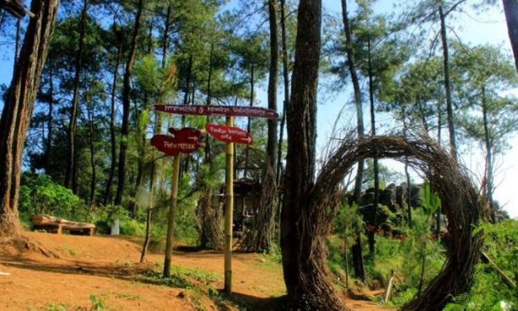 14 Tempat Wisata di Purworejo Terbaru & Terhits Dikunjungi - West-Java.com