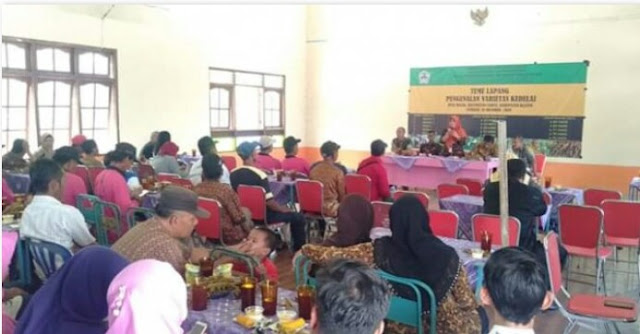 Babinsa Cawas Hadiri Temu Lapang Pengenalan Varietas Kedelai