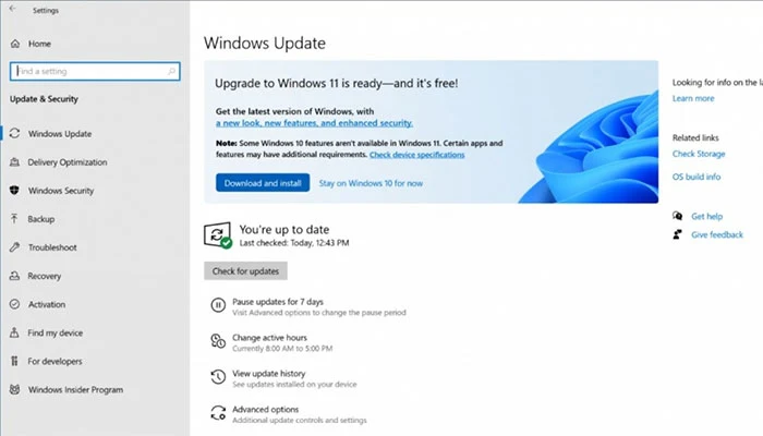 Microsoft Windows Here: Upgrade From Free!