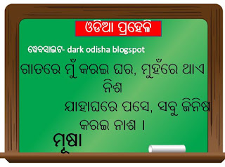 odia riddles, 12 odia paheli and riddles, twelve odia paheli and odia puzzles, paheli in odia
