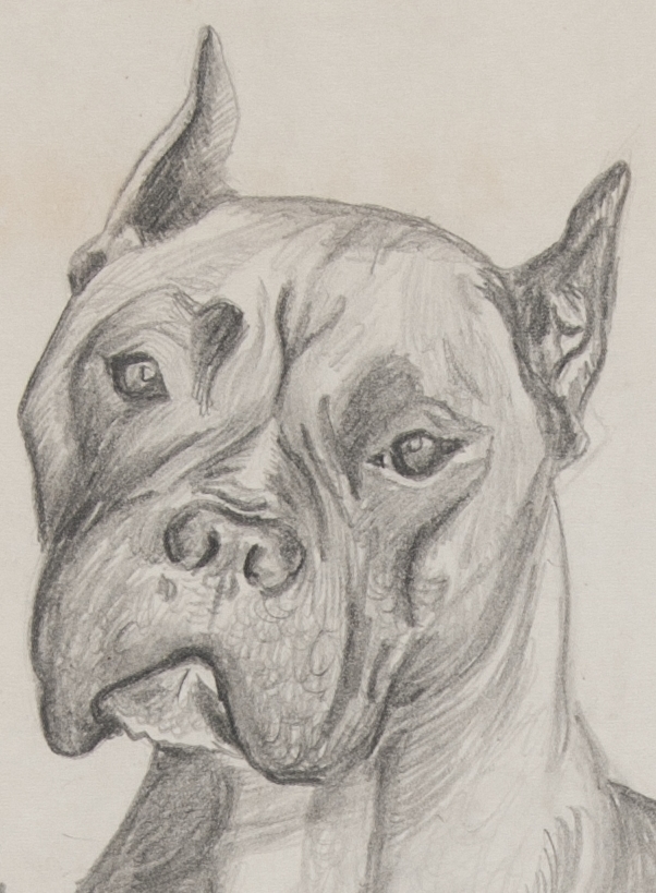 Preserving a Family Collection: Drawing of a Dog, Before and After