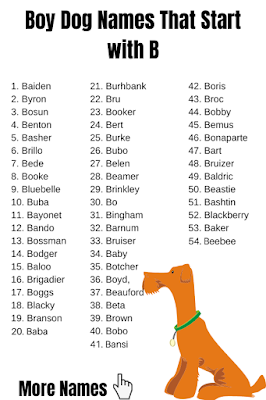 Boy Dog Names That Start with B