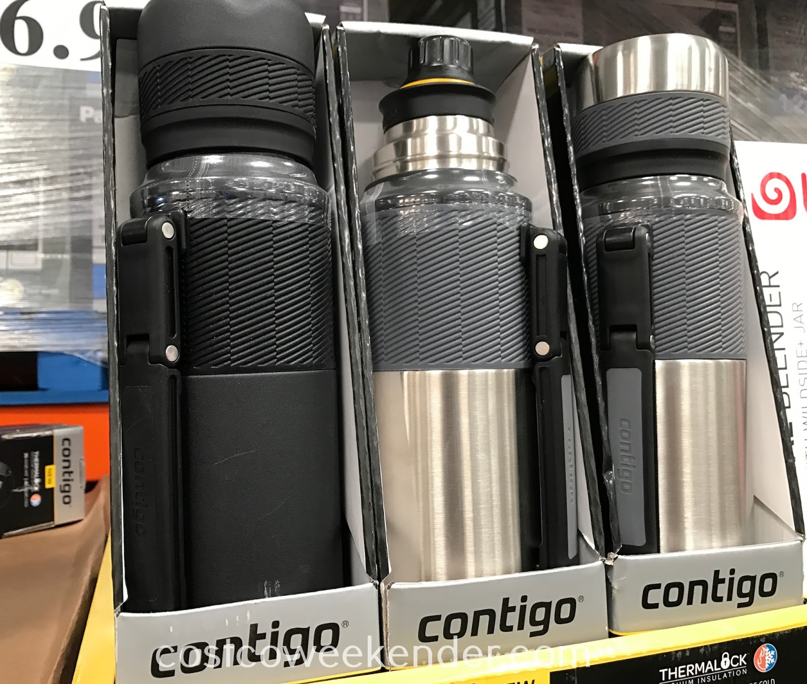 contigo food jar costco