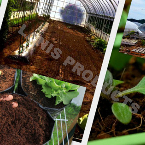 Which is best, Coco Coir or Soil?