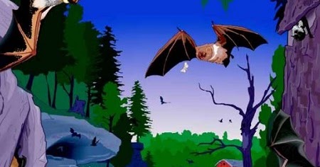 Forest Management And Bats