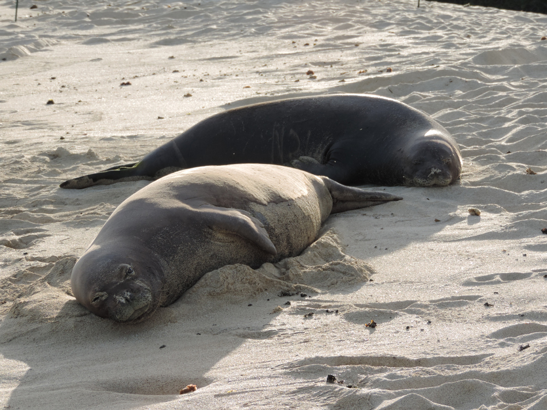 8122013 Team Billand Pohaku & Benny at