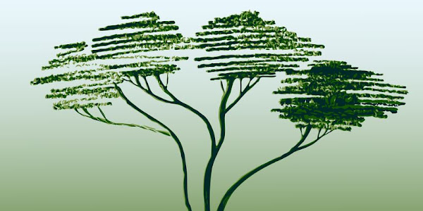 Cara Menggambar Pohon Untuk Bawah Umur Tk Paud, Sd,  Sltp Dan Slta