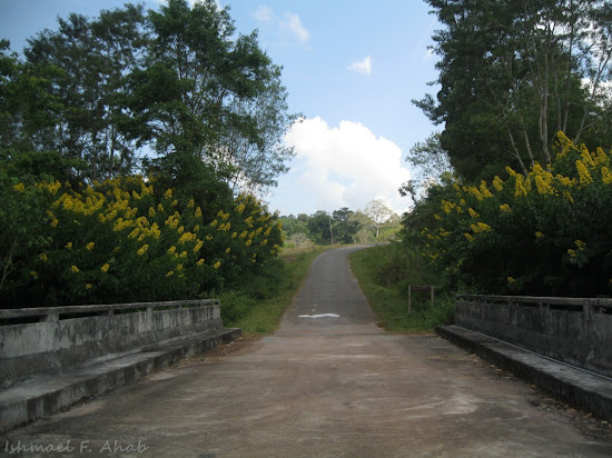 Road inside Phukhieo Wildlife Sanctuary