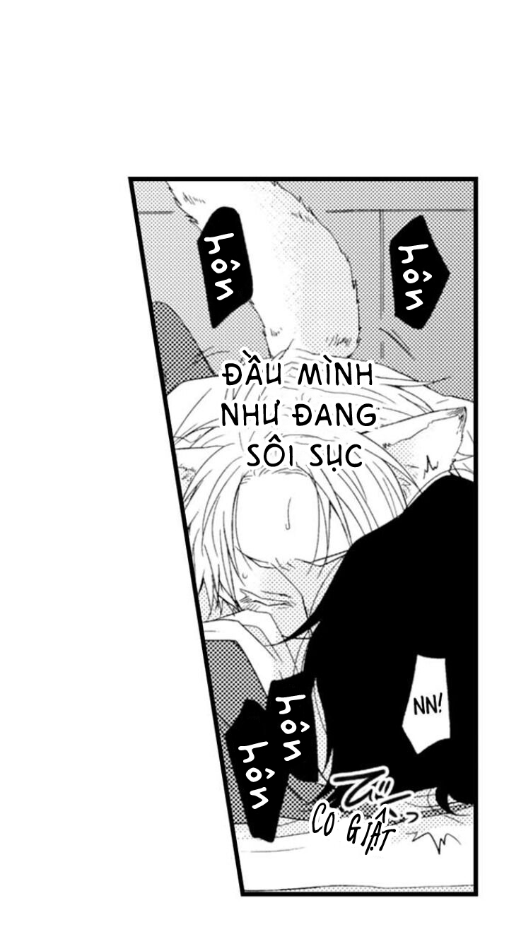 Đọc truyện Ai Muốn Được Yêu Thương Nào - Chapter 2