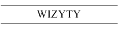 wizyty