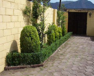 Decoraciones JR: Losetas