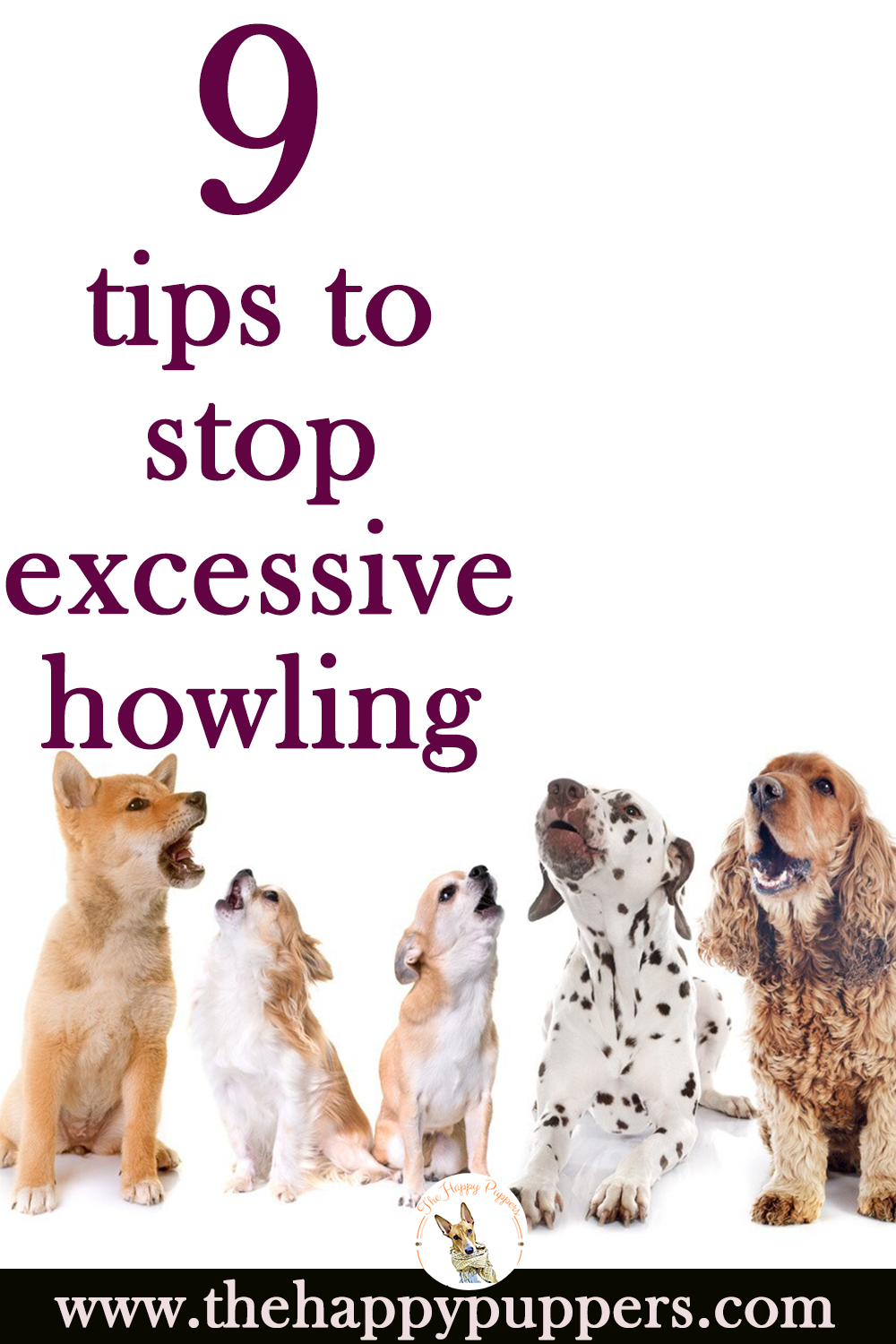 How to stop excessive howling in dogs?