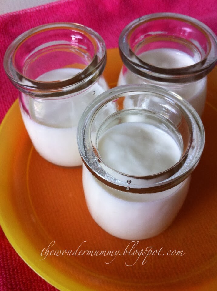 The Wonder Mummy: Homemade Bread Machine Yogurt with the Joyoung Bread