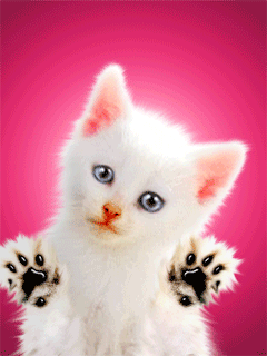 Funny animated wallpapers for mobile | Tops Wallpapers Gallery