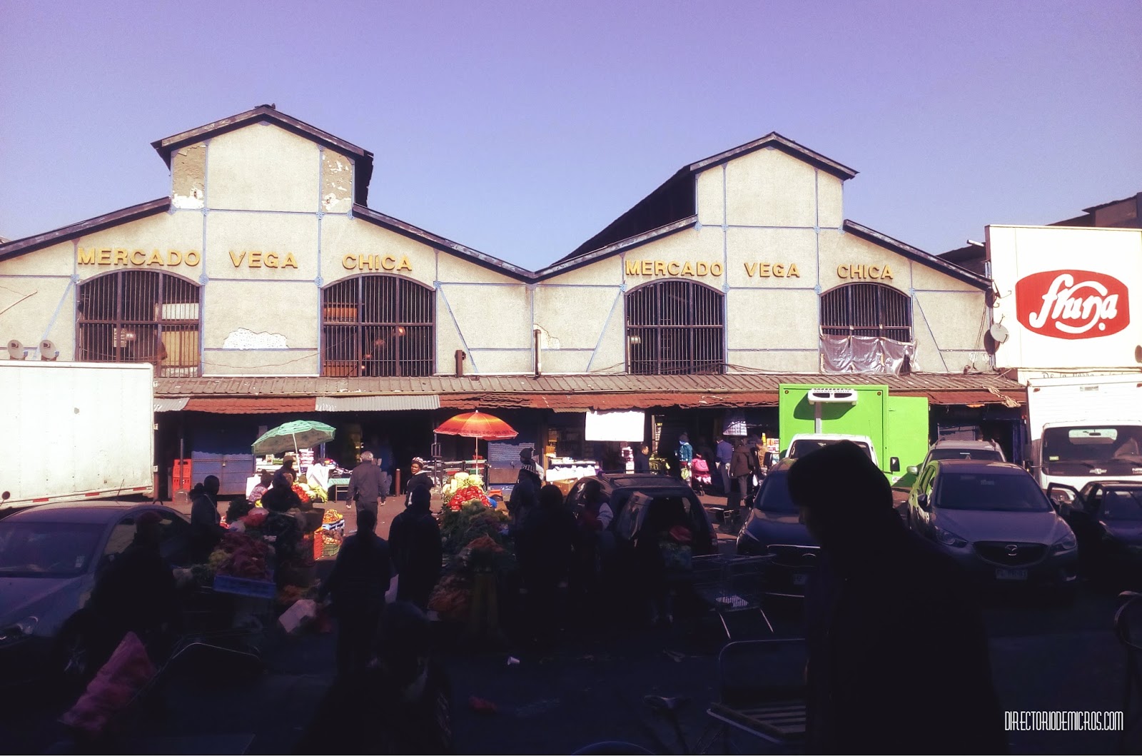 Santiago de Chile la Vega Chica y la Vega Central