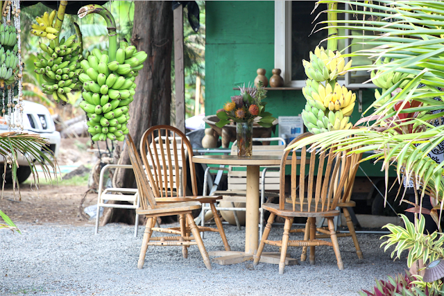 on the road,hawaii,oahu,north shore,fruits,marchand de fruit,perroquet,parrot