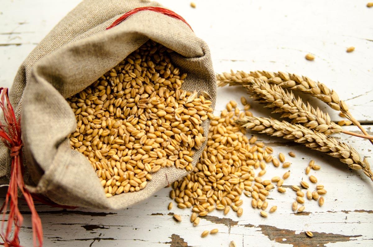 Does Grass Seed Really Expire? Best Manual Lawn Aerator