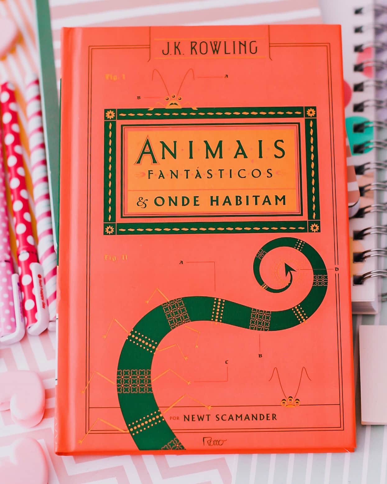 Animais Fantásticos e Onde Habitam J.K. Rowling Vivendo Sentimentos
