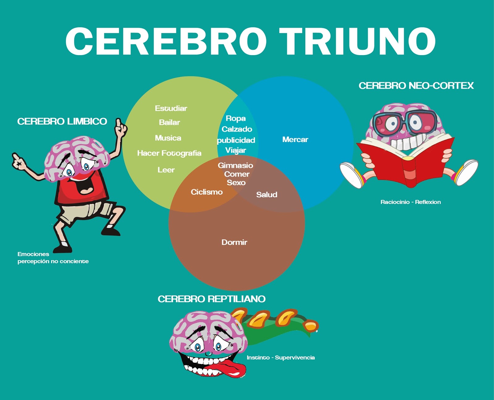 TEORIA DEL CEREBRO TRIUNO TEORIA DEL CEREBRO TRIUNO