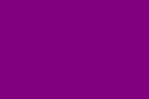 Purple Colour