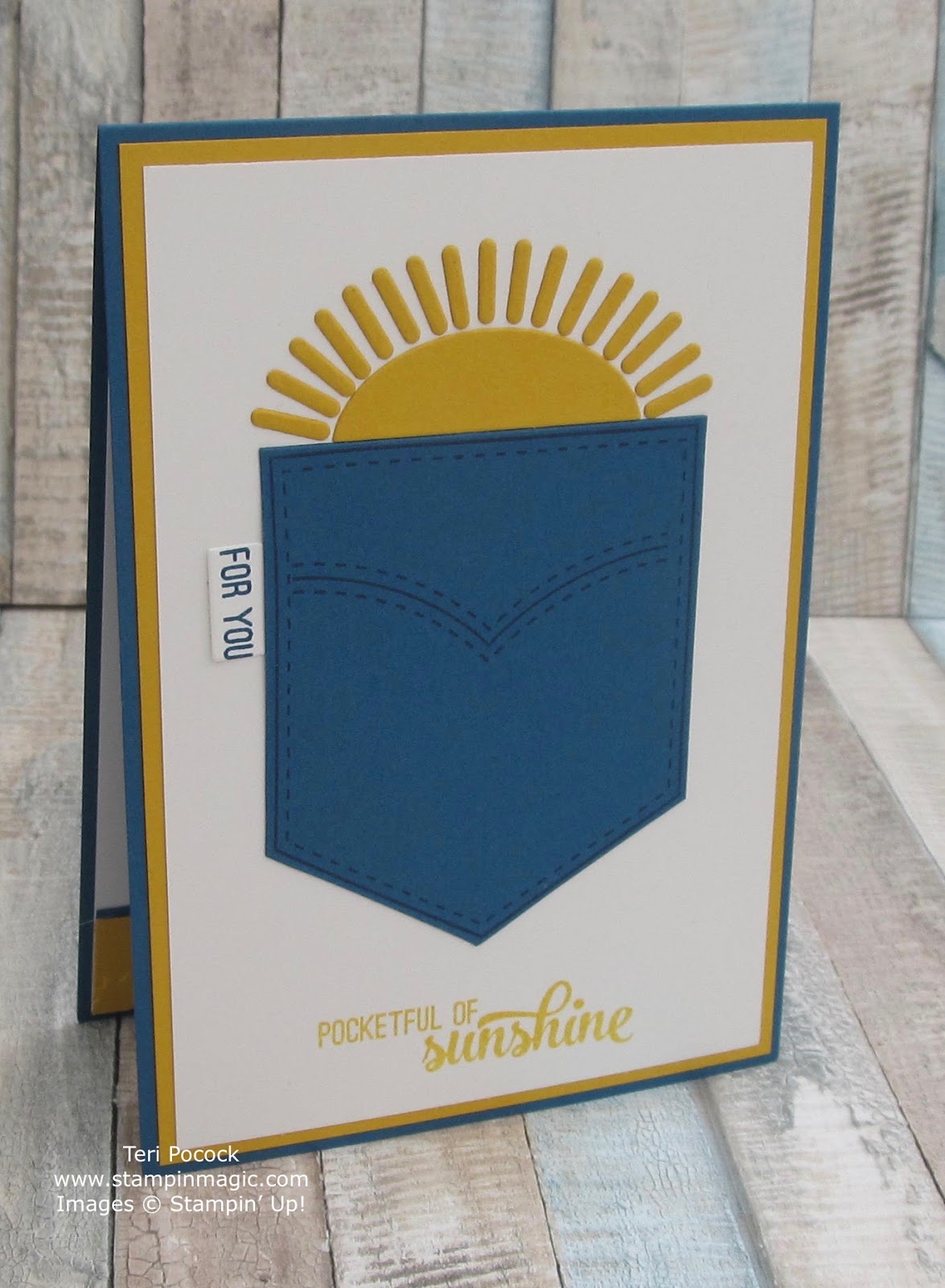 Stampin' Up! UK Demonstrator Teri Pocock Pocketful Of Sunshine