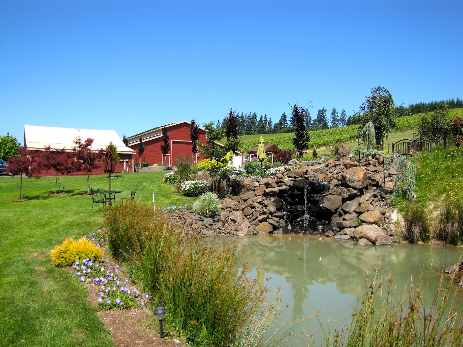 The Oregon Winery Review Pfeiffer Vineyards BurgundianStyle Pinot