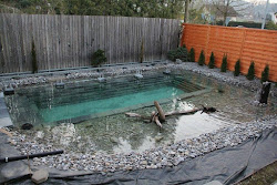 Affordable Low Budget Homemade DIY Swimming Pool in Your Backyard Decor Units