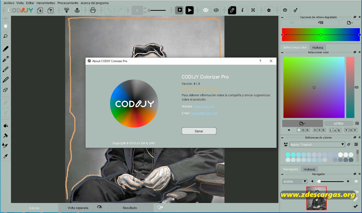 CODIJY Colorizer Pro Full Español