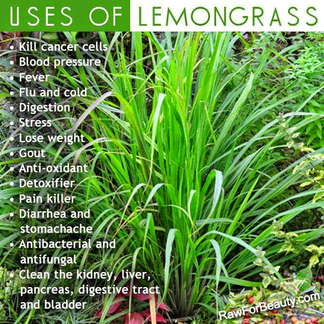 Uses of Lemongrass
