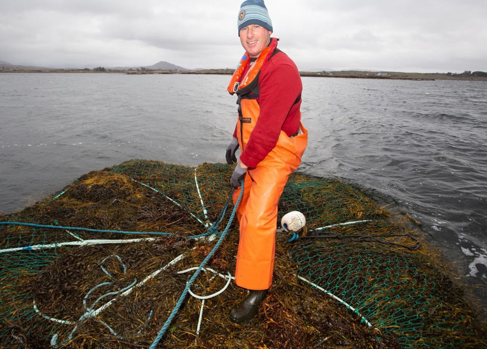 Walking Tours of Galway Galway Walks Folklore, Haunted and History Tours with Brian Nolan
