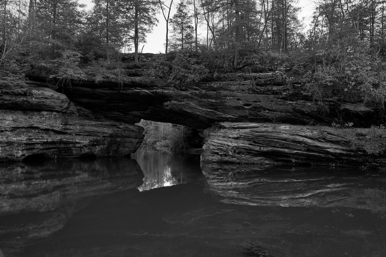 Backpack and Beer Pickett State Park