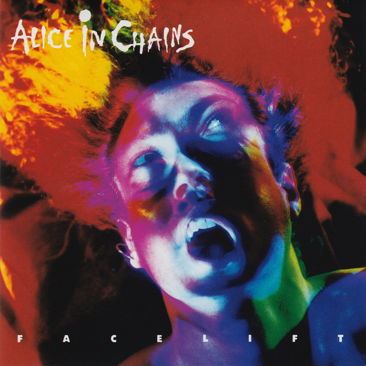 Sound & Vision Thing: Alice In Chains