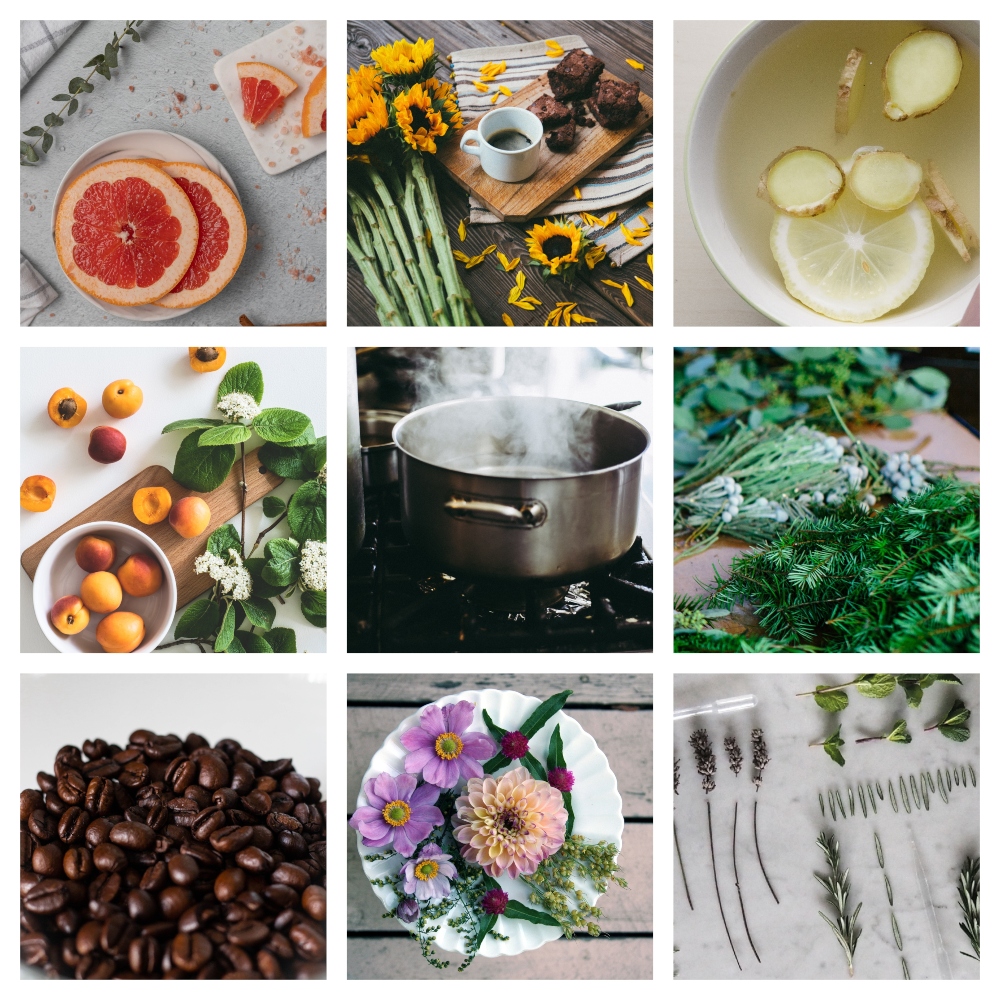 How To Make Your Home Smell Amazing All These Interiors how-to-make-your-home-smell-amazing-all-these-interiors