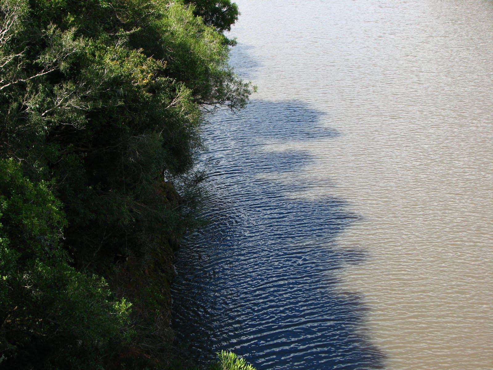 Com a câmera solta Uruguay Río Branco