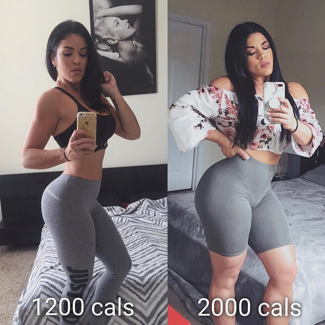 Bulking And Cutting For Women