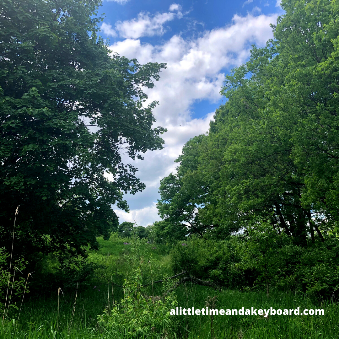 A Little Time and a Keyboard Basking in Nature at Hastings Lake Forest