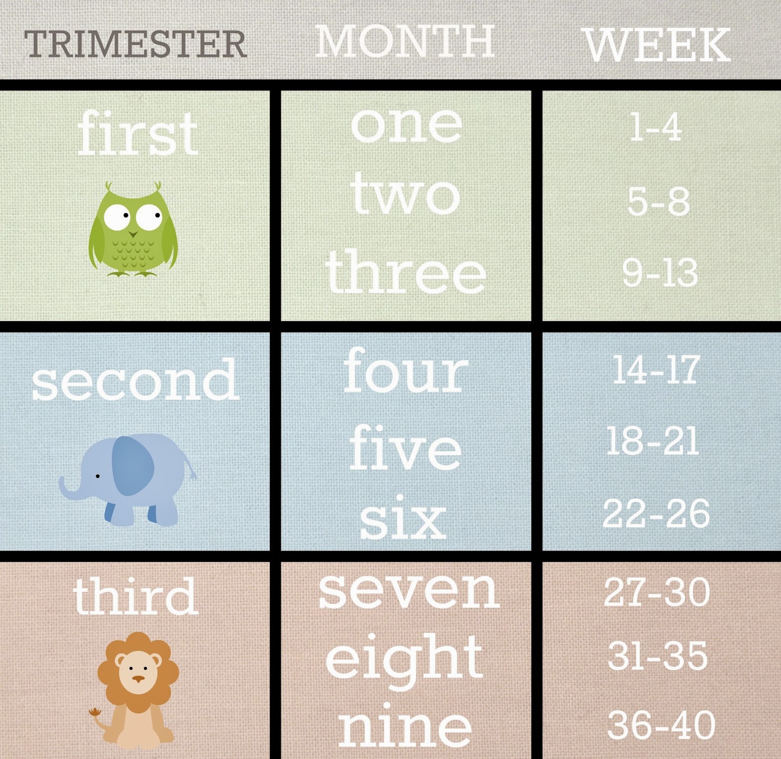 All Deck'd Out: 27 weeks - Third Trimester!
