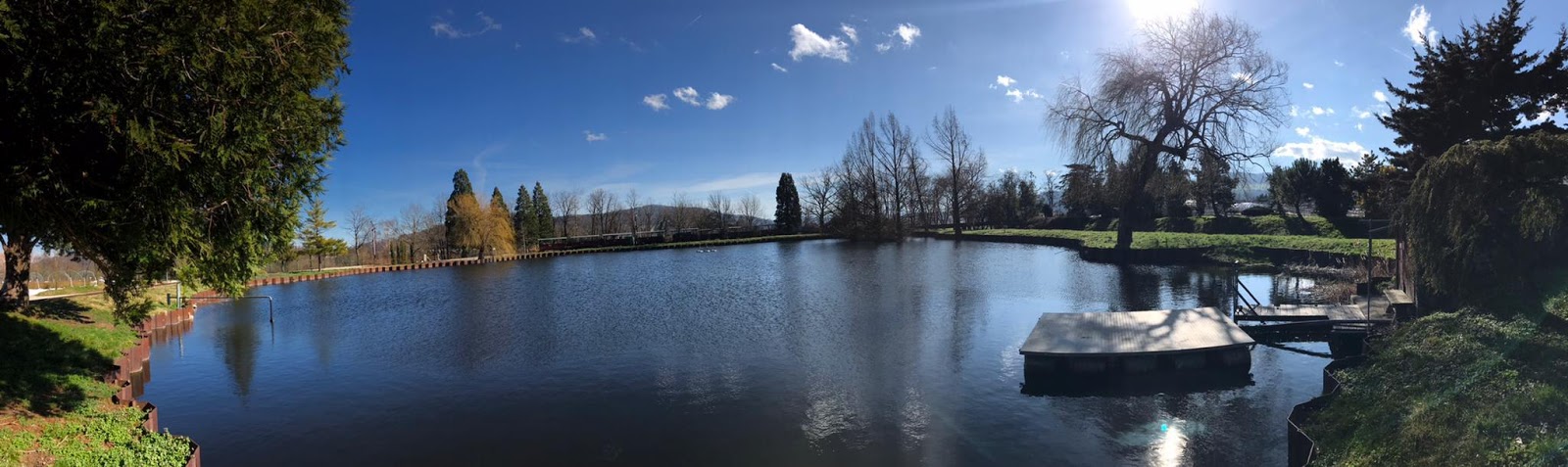 Koi-Pond-PH-Levels.jpg