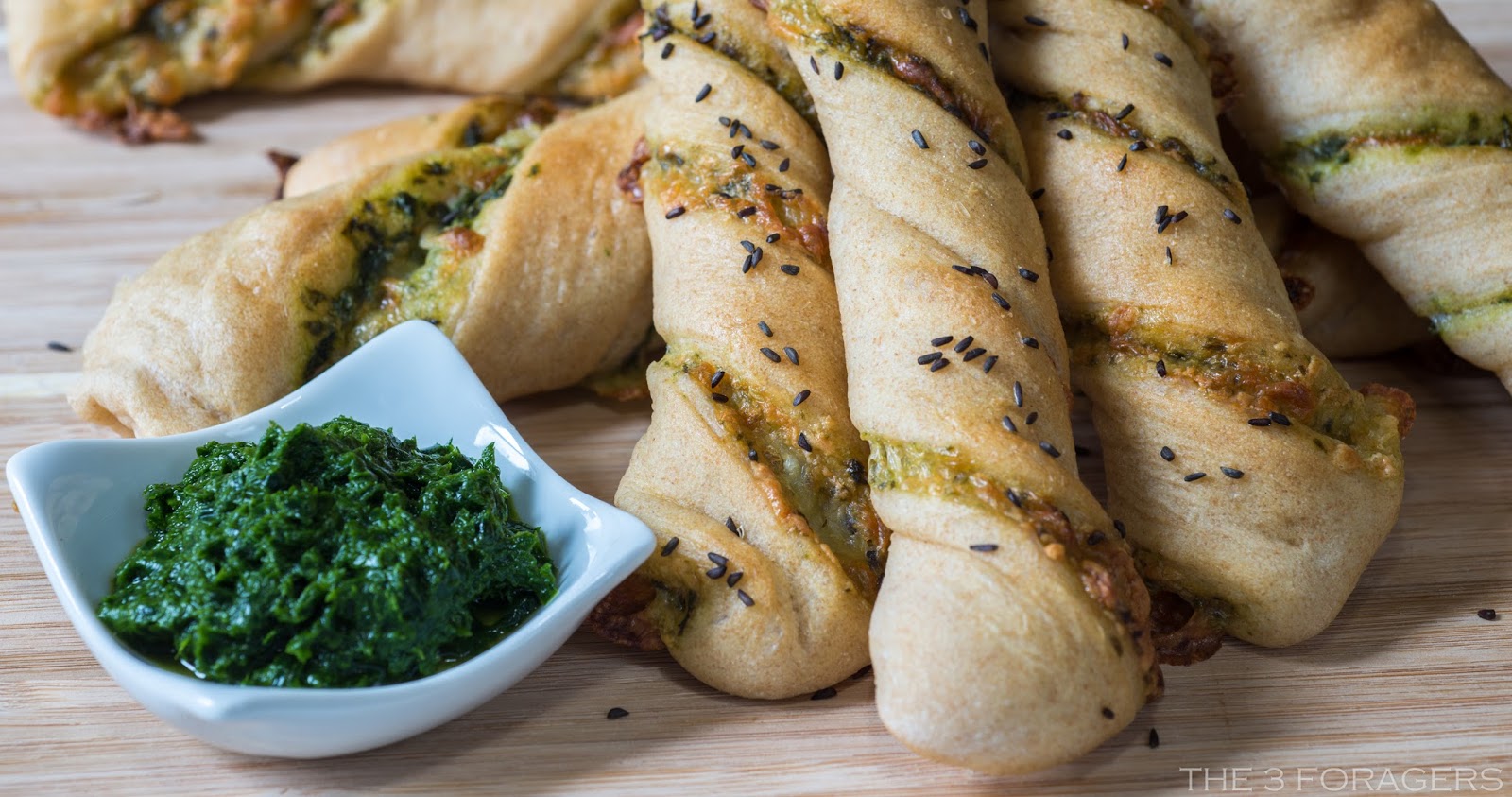 The 3 Foragers Foraging for Wild, Natural, Organic Food Spring Ramps