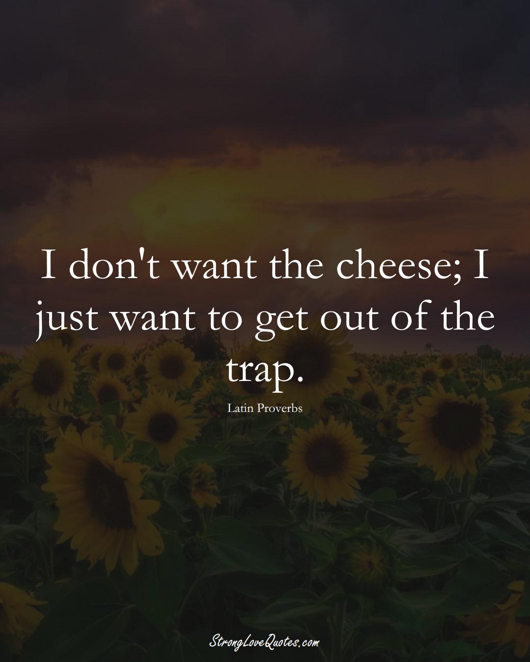 I don't want the cheese; I just want to get out of the trap. (Latin Sayings);  #aVarietyofCulturesSayings
