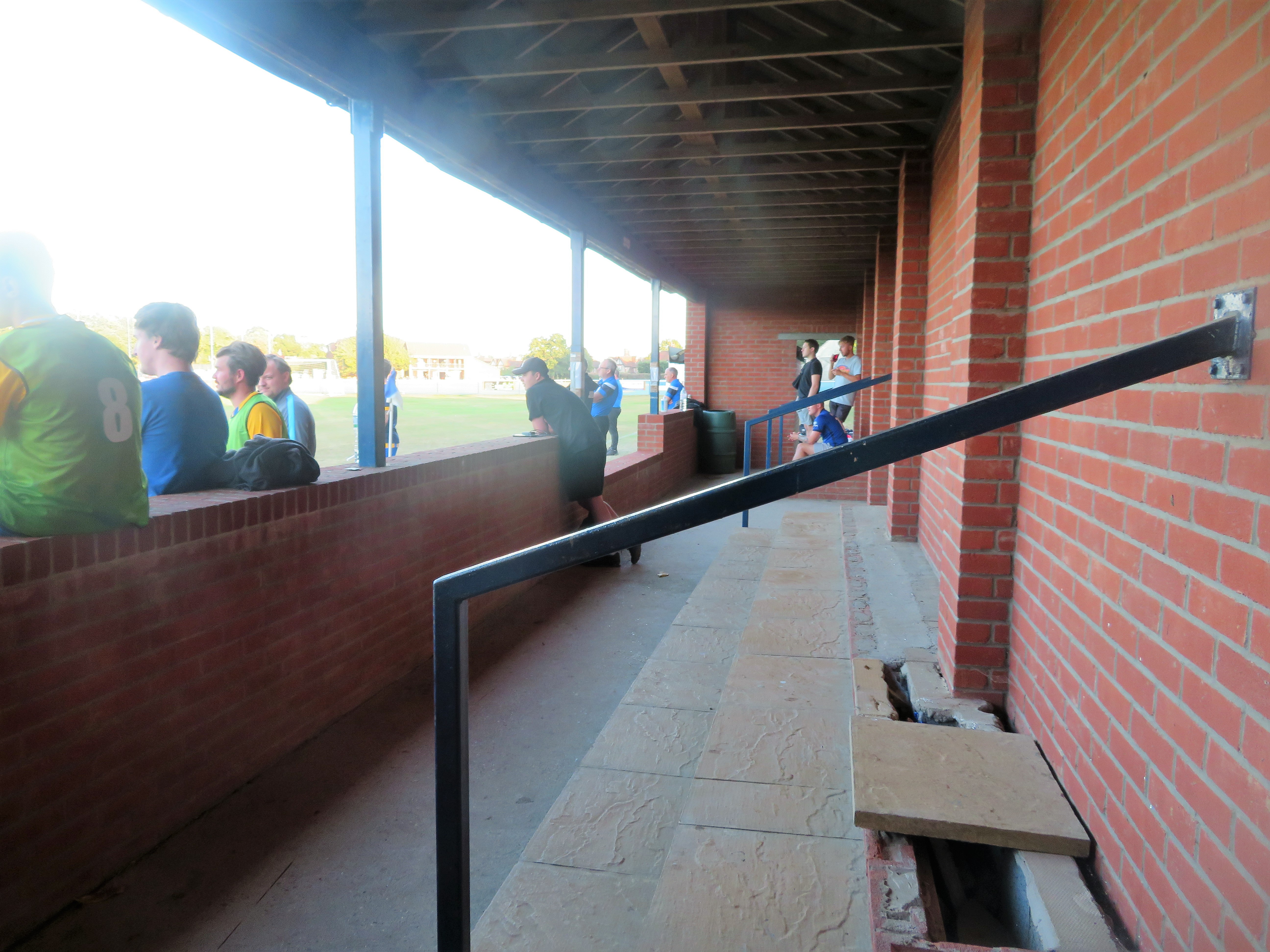 The Wanderer Earls Colne Green Farm Meadow