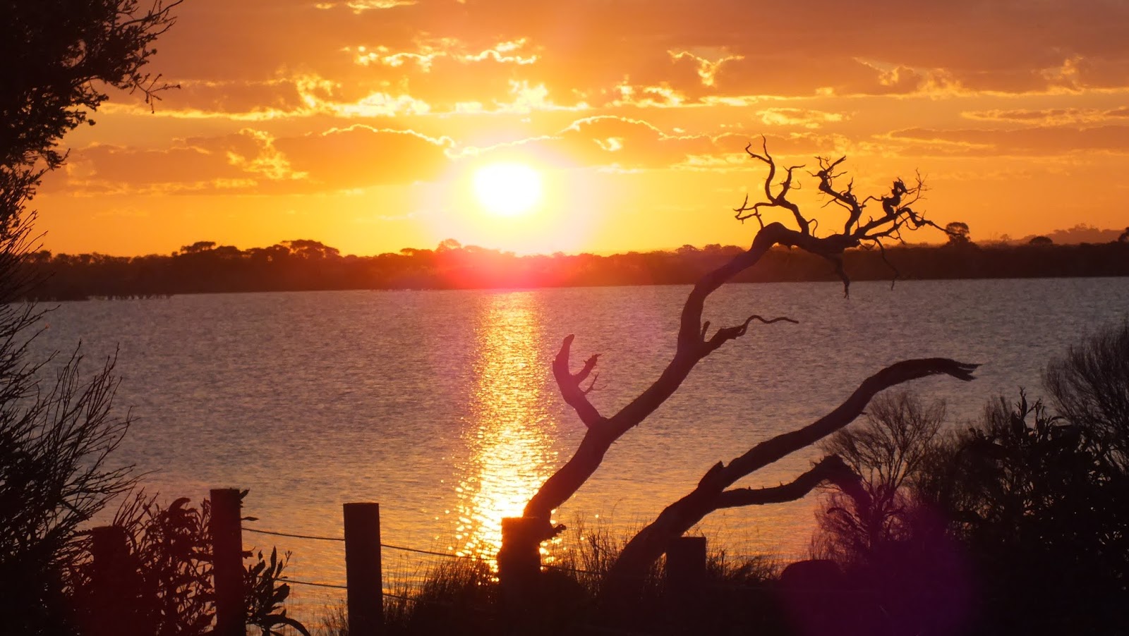Travelling Around Wheatfield Lake and a Surprise in Esperance