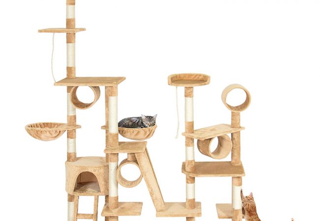 Multi Level Cat Tower Multi Level Cat Condo Multi Level Cat Tower With Scratchers Multi Level Cat Condo Fritz And Friends Multi Level Cat Condo