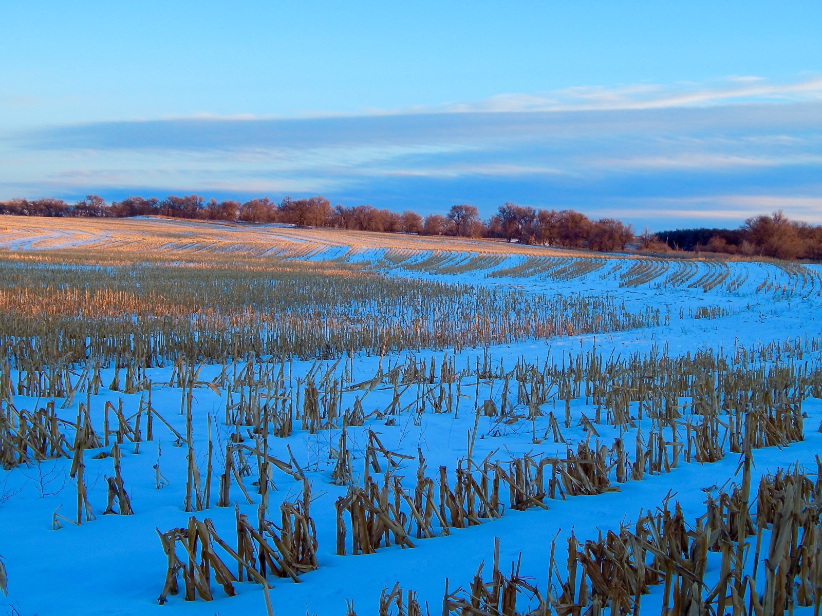 Western Nebraska A Winter Eden