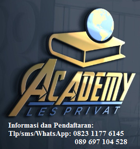 Academy Les Privat